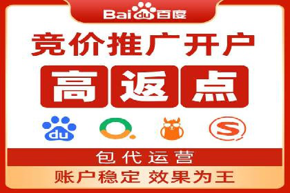 揭秘SEM竞价托管：实战案例深度解析